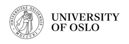 University of OSLO-NSEE-Icelli